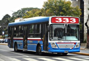 línea 333