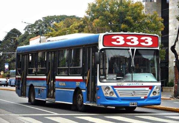 línea 333